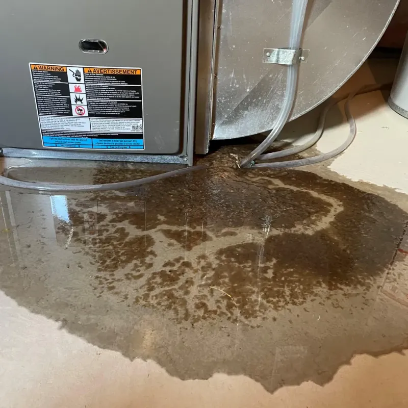 Appliance Leak Cleanup in Mullins, SC