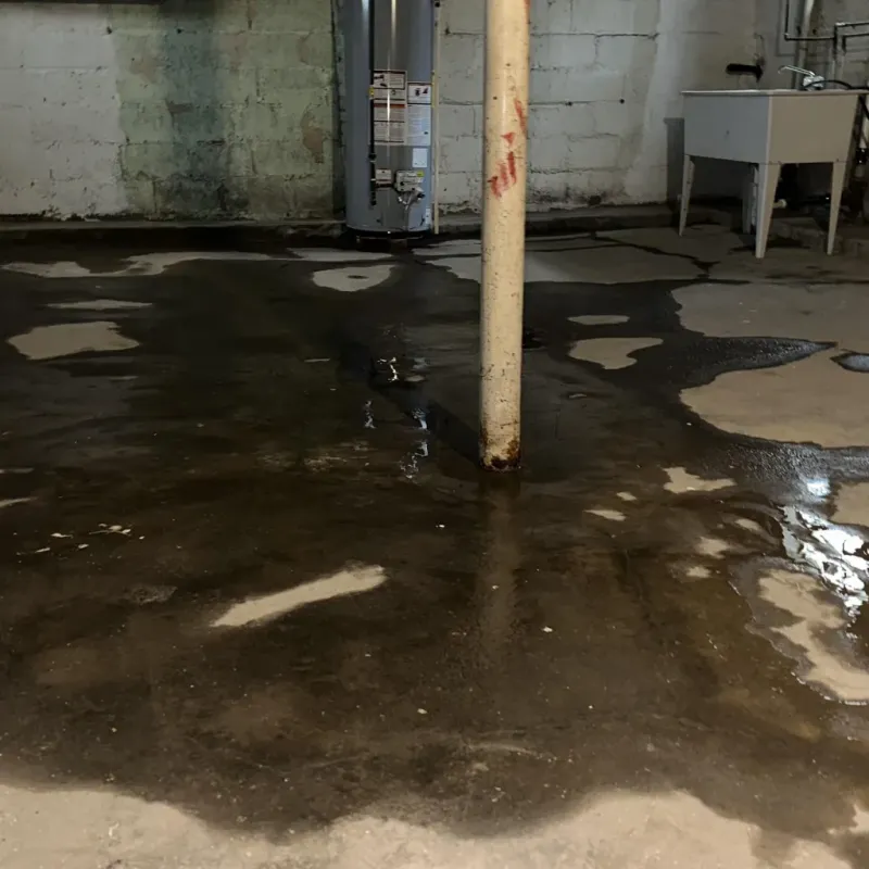 Emergency Water Extraction And Removal in Mullins, SC